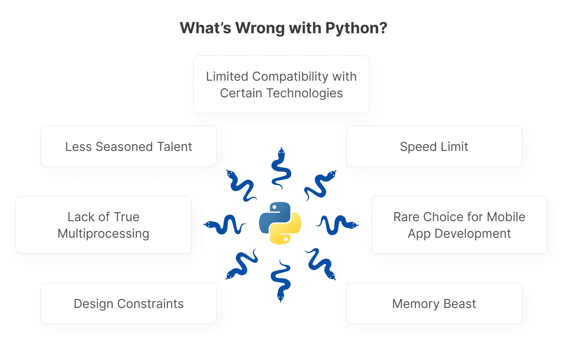 Drawbacks of python development